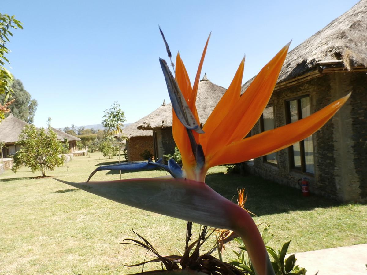 Mayleko Lodge Gonder Exterior photo