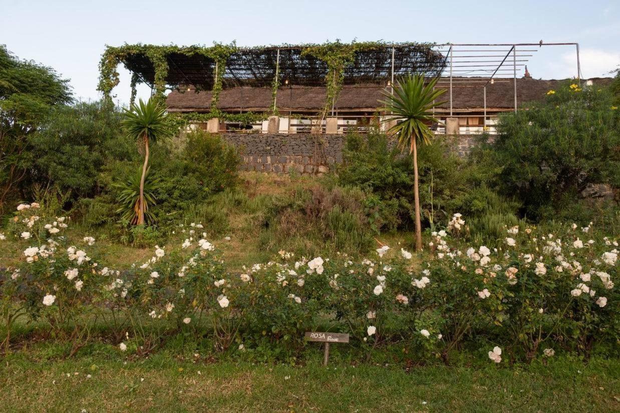 Mayleko Lodge Gonder Exterior photo
