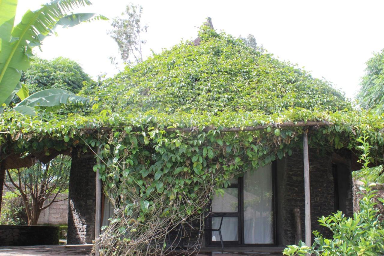 Mayleko Lodge Gonder Exterior photo